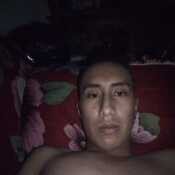 faver7jra488