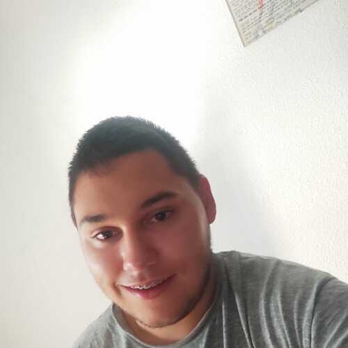 Alexestu543