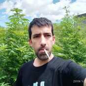 gastonbcbcid