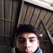 simonrosa669