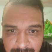 alvar298