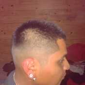 enzop575