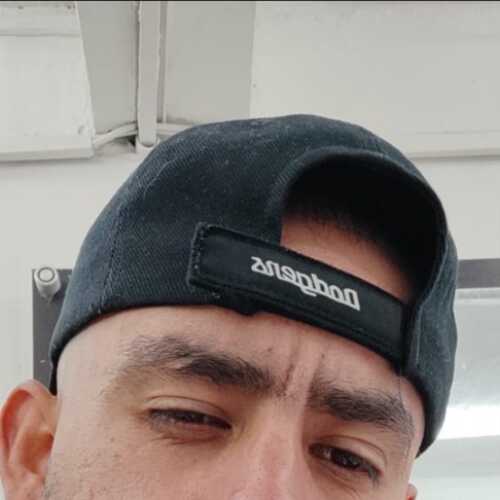 elkintomar305