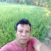 bbtierno