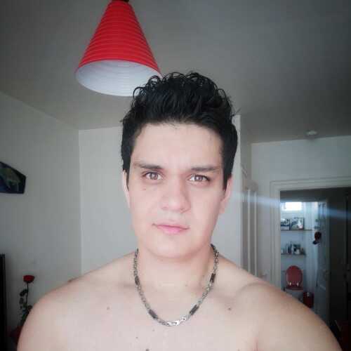 Gustavoparis