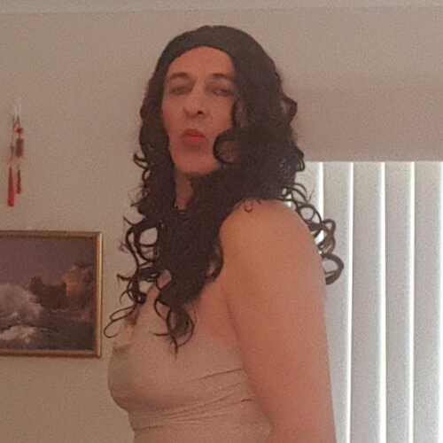 pussycatMelbourne