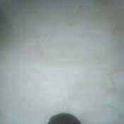 raulflores8801
