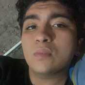 Cvrpedieem