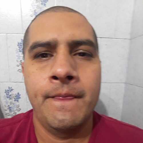 elvic181