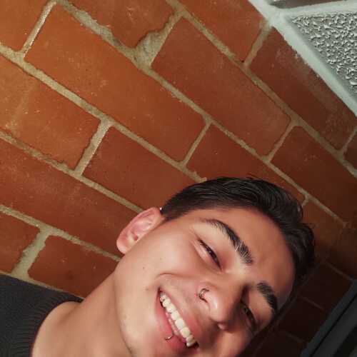 alol017