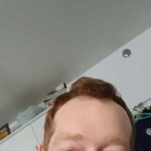 dann429