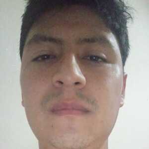santific305