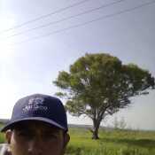partidaarma948