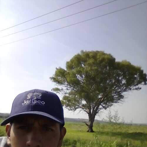 partidaarma948