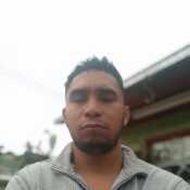 astter423