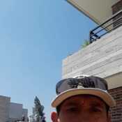alvasanchezwil322