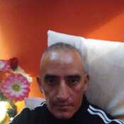 Tocallito