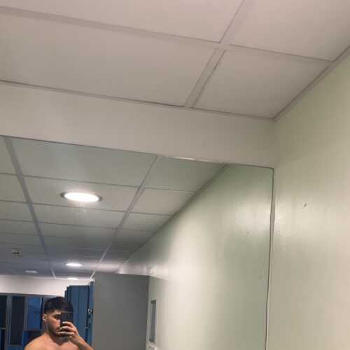 Talha