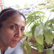 taniadaliladi809