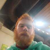 Bottomginger20 