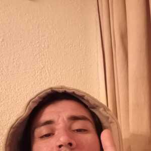 LoyalOptimistegdjci