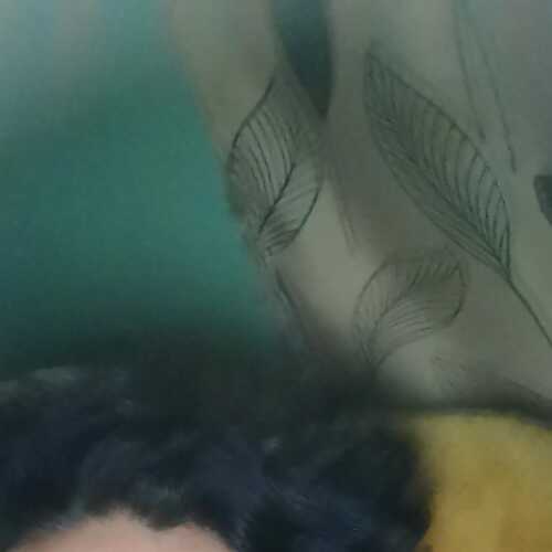 Mystik69