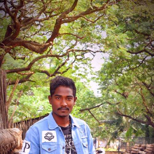 Saheer
