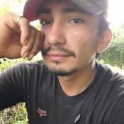 Vargas25
