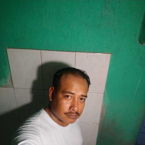 withou543