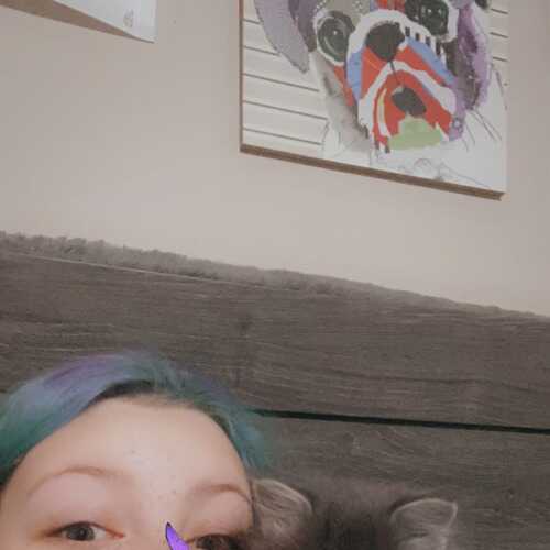 Cutiekitty800 