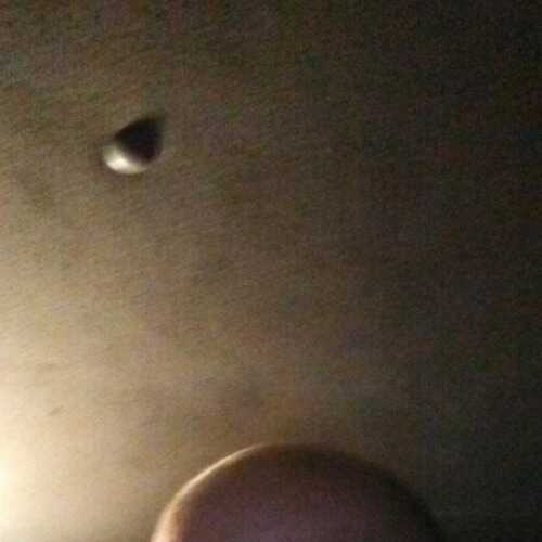 midnighttruker2