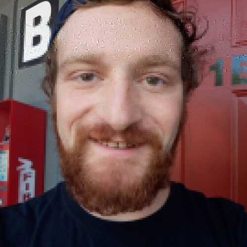 GINGERMAN29