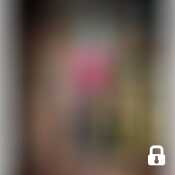 legandsil1227