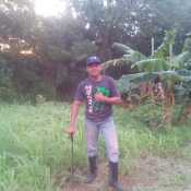 gp5herna447