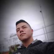 andreyfartu598