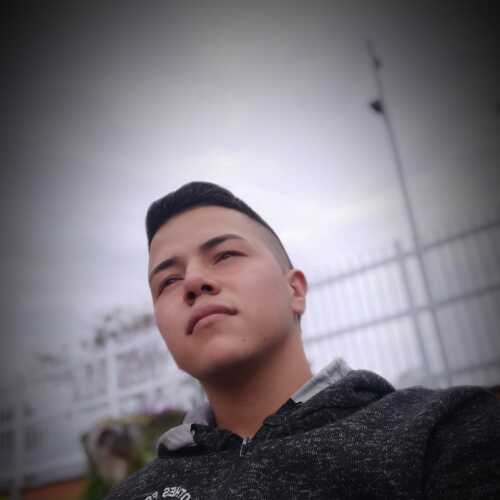 andreyfartu598