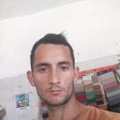 ele208