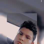Alexandergd