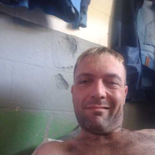 finkhectorrobe386