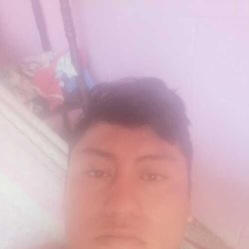 chinolisba723