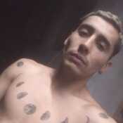 Fedee