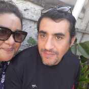 cibert733