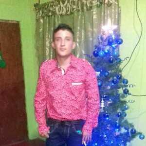 gerardoguz238