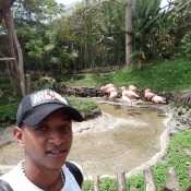danielhurtado087