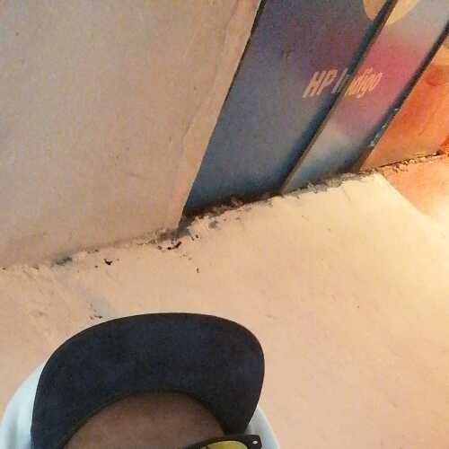 ckuky117