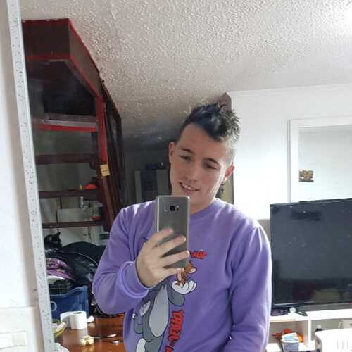 dennyrebolledogalla205