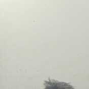 PatientSocialite164c0b