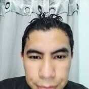 Pollo