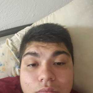gabequint078