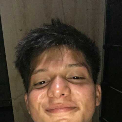 Alexander 